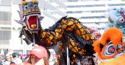 Countdown is on for this year's National Multicultural Festival