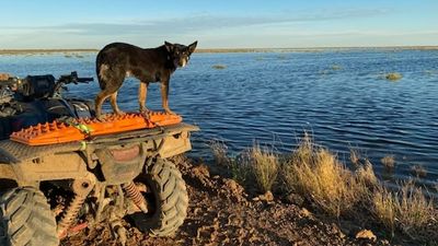 Ivanhoe still grappling with flood crisis as residents remain isolated due to main road closures