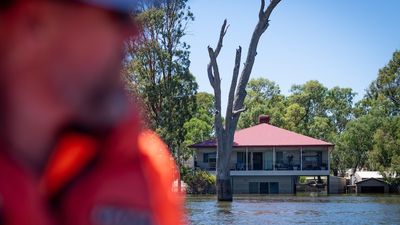 Volunteers needed for SA flood clean-up, as some River Murray shack owners take first look at muddied homes