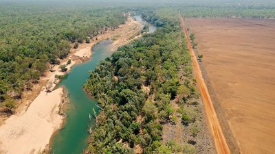 Aboriginal land council levels criticism at NT government over unregulated land clearing