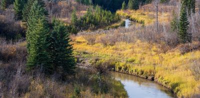 Fossils in a northern Alberta riverbed may reveal new facts about dinosaur evolution