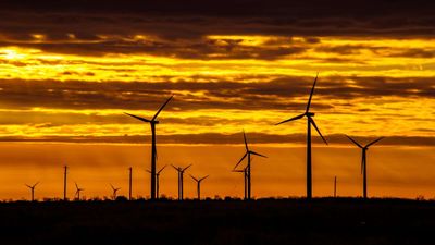 Democrats Say They Support Green Energy. Why Do Their Policies Say Otherwise?