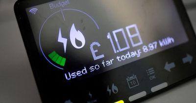 Energy suppliers urged to stop 'outrageous' force-fitting of prepayment meters in homes