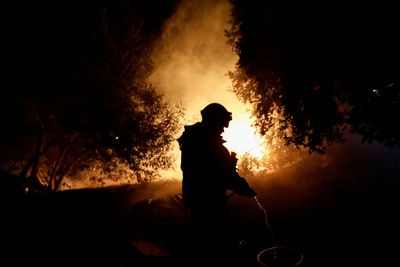 Chile wildfires consume over 750 hectares threatening forests, farmland