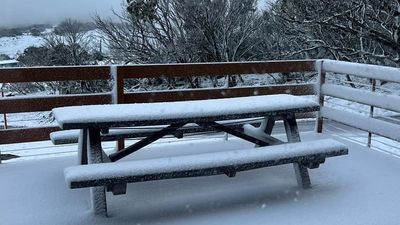 Snow turns Australian Alps into winter wonderland in the middle of summer