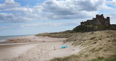 Range of jobs up for grabs at Bamburgh Castle ahead of 2023 summer season