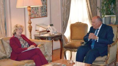 Egypt, Italy Keen to Enhance Cooperation, Face Illegal Migration