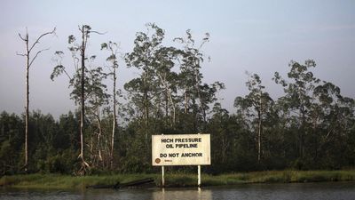 Niger Delta communities file damage claim against Shell in London court