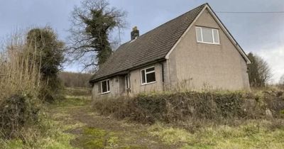 Donald Trump case helps Welsh woman win fight to live in bungalow