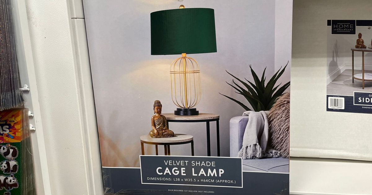 I found a 'stunning' £35 Home Bargains lamp that's…