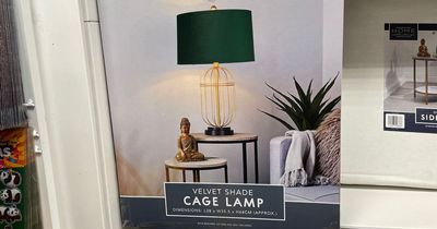 I found a 'stunning' £35 Home Bargains lamp that's almost identical to a £165 designer version