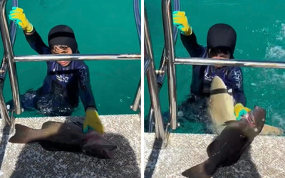 Top videos: Young spearfisher’s scary encounter with Barrier Reef shark