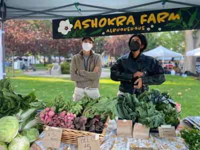 Radishes and rainbows: the LGBTQ growers reimagining the traditional family farm