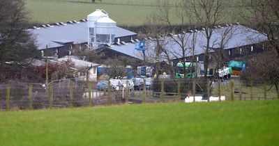 Bird flu outbreak found at Scots poultry farm sparking 3km lockdown by health chiefs