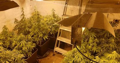 Two held after cannabis farm discovered in small village