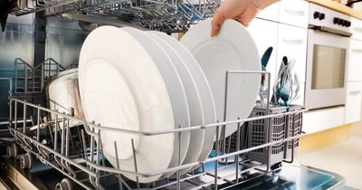 Seven things you should not put in your dishwasher, according to experts