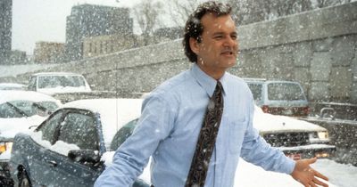 Groundhog Day fans work out how long Bill Murray was stuck - and he's still there now