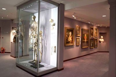 London museum could face legal action over skeleton of Irish giant