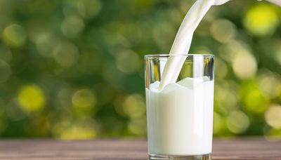 Milk comparison: Which is healthiest? Which helps weight loss? Which has the most protein?