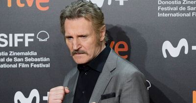 Liam Neeson slams 'little leprechaun' Conor McGregor for 'giving Ireland bad name'