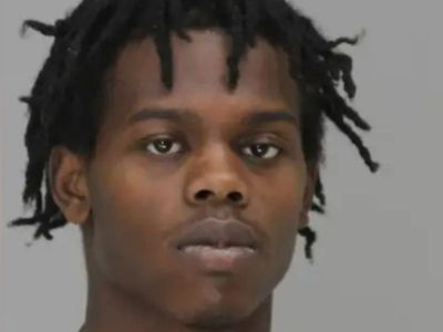 Police: Man arrested in taking of monkeys from Dallas Zoo