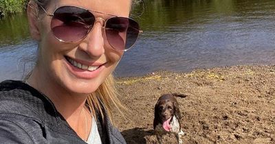 Nicola Bulley: Something 'may have happened' with dog to make her approach river - cops