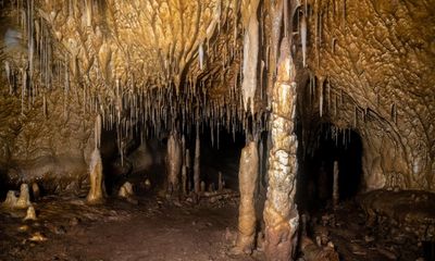 Bear-clawed cavern discovered in Spain ‘opens new door on prehistory’