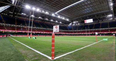 What channel is Wales vs Ireland on? TV and live stream info for the game