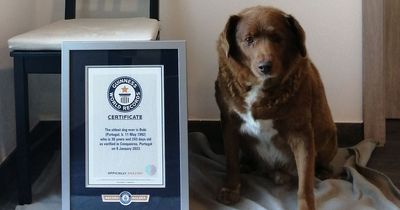 30-year-old Bobi crowned world's oldest dog by Guinness World Records