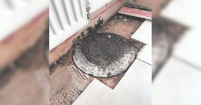 Landlord's lazy solution saw manhole cover used over gap in floor