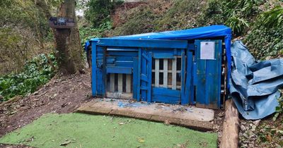 Teenage boys' den where they play board games could be torn down after ONE complaint