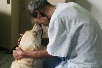 Patients with cancer turn to pet therapy