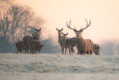 Cold weather warning issued as temperatures set to plunge