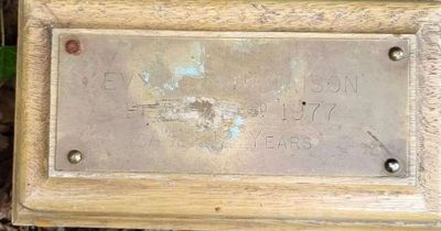 Mystery of little girl's ashes found in park 46 years after her death