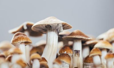 Australian approval of MDMA and psilocybin a ‘baby step in the right direction’, medical experts say