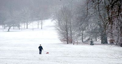 Met Office and UKHSA issue 48-hour weather alert for all regions of England