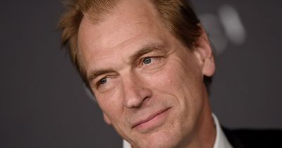 Search for actor Julian Sands continues 'intermittently' three weeks after he vanished