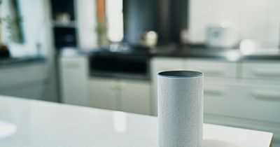 Warning as experts say that your smart speaker is 'always' listening