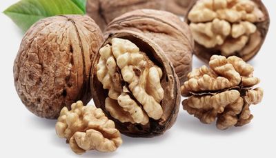 Health: Walnut Consumption May Reduce Stress Among Students During Studies, Says Research