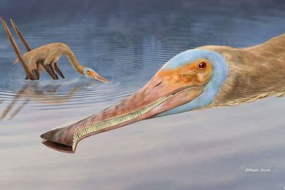 Jurassic mix between flamingo and whale