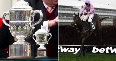 Blow to Cheltenham Festival 2023 race as famous trophy is stolen during break-in