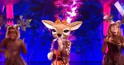 Masked Singer's Fawn 'outed' by fans as Natalie Appleton's Instagram flooded with comments