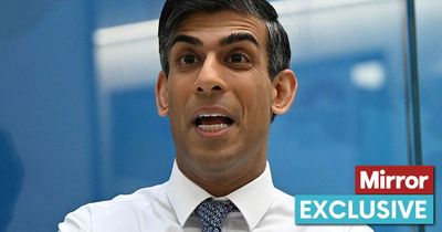 Nearly half of TORIES want General Election this year to sweep Rishi Sunak out of No10