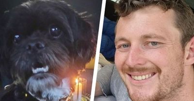 Dog owner targeted by vile scammers who threatened to shoot his missing pet if he refused to pay