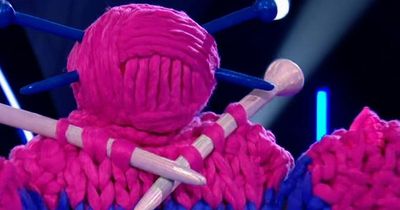 The Masked Singer's Knitting and Otter both unmasked in shock double celeb elimination