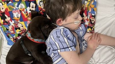 Assistance dogs do more than detect seizures, they also provide comfort and fun