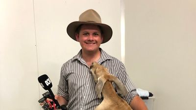 How a rookie journalist covered a devastating flood in his hometown, Fitzroy Crossing, with a mobile phone and a ladder