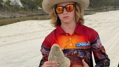 Gympie teenager Levi Hanna dies in hospital after being hit by car on way home from school
