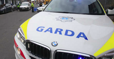 New fleet of garda vehicles cost Irish taxpayers €16.8million last year