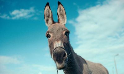 EO review – the bold and the bray from veteran Polish director Jerzy Skolimowski